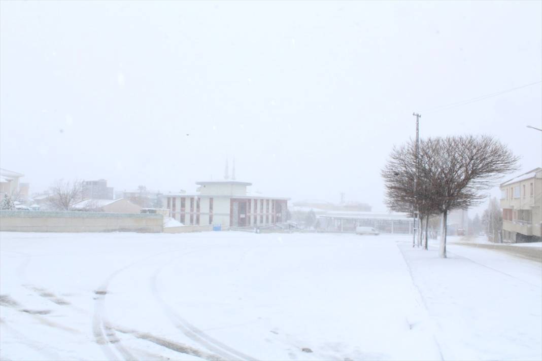 Konya’da çiçek açan ağaçları beyaz örtü kapladı 5